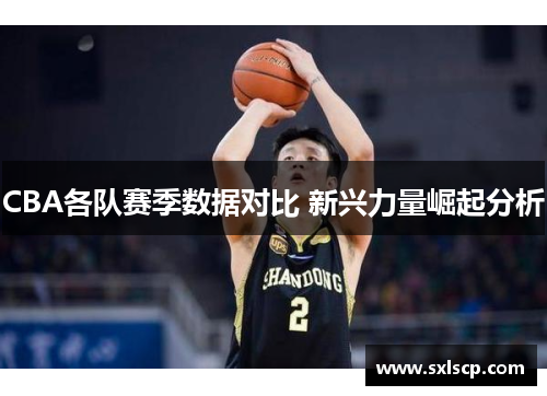 CBA各队赛季数据对比 新兴力量崛起分析