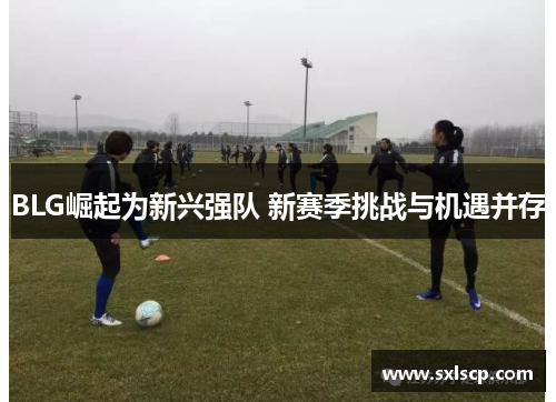 BLG崛起为新兴强队 新赛季挑战与机遇并存