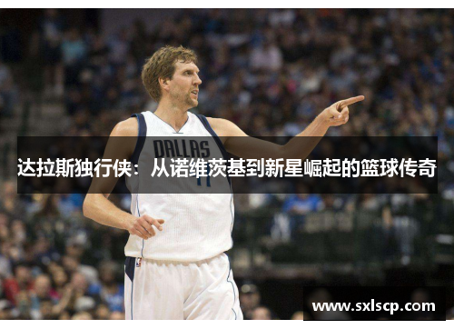 达拉斯独行侠：从诺维茨基到新星崛起的篮球传奇