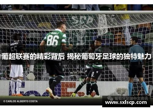 葡超联赛的精彩背后 揭秘葡萄牙足球的独特魅力